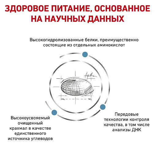 Royal Canin Anallergenic, Корм сухой полнорационный диетический для взрослых собак, применяемый при пищевой аллергии или пищевой непереносимости. Ветеринарная диета