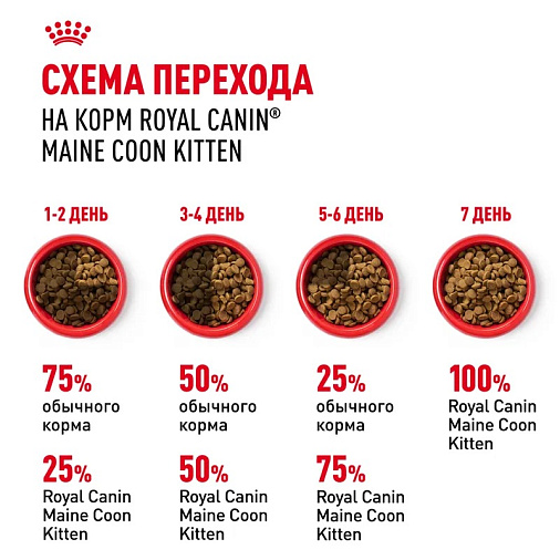 Royal Canin Maine Coon Kitten Корм сухой сбалансированный для котят породы Мэйн Кун