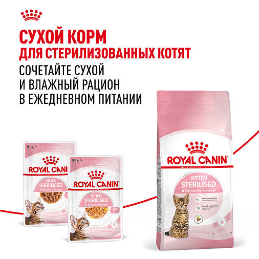 Royal Canin Корм для котят в возрасте до 12 месяцев (Kitten Sterilised), в желе
