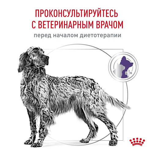 Royal Canin Neutered Adult Medium Dogs (Ньютрид Эдалт Медиум Догз) Корм сухой для взрослых стерилизованных/кастрированных собак средних пород