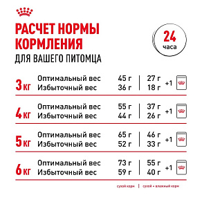 Royal Canin Indoor 7+ Корм сухой полнорационный сбалансированный для стареющих кошек (в возрасте от 7 до 12 лет), живущих в помещении