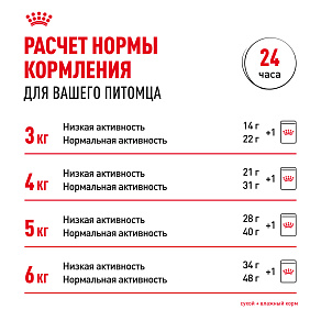 Royal Canin Indoor Sterilised (в желе) Корм консервированный полнорационный для взрослых кошек (в возрасте от 1 года до 7 лет), постоянно живущих в помещении