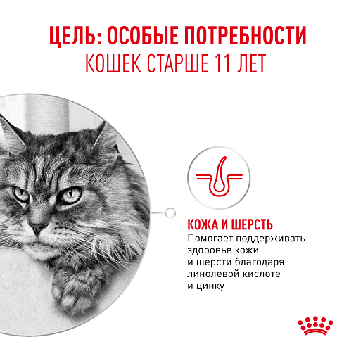 Royal Canin Ageing 11+ Корм влажный для пожилых кошек старше 11 лет, кусочки в соусе