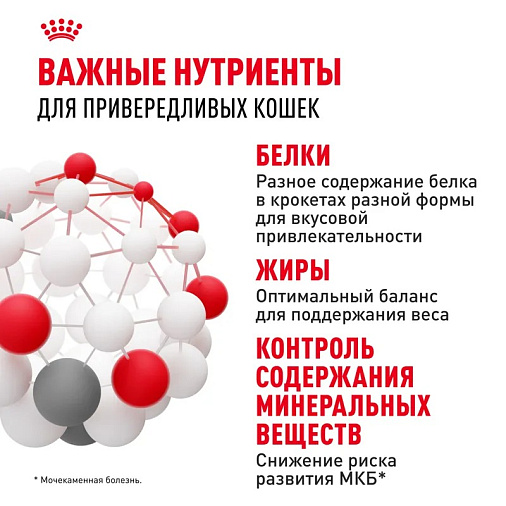 Royal Canin Savour Exigent Корм сухой сбалансированный для привередливых взрослых кошек от 1 года