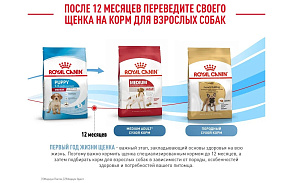 Royal Canin Medium Puppy Корм сухой для щенков средних размеров от 2 до 12 месяцев