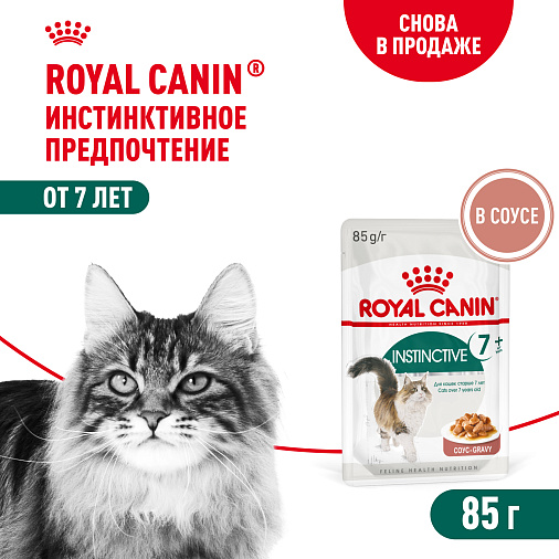 Royal Canin Корм для кошек с инстинктивным предпочтением в возрасте старше 7 лет (Instinctive 7+), мелкие кусочки в соусе