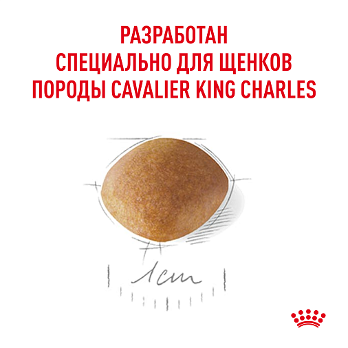 Royal Canin Cavalier King Charles Puppy Корм сухой полнорационный для собак - Специально для щенков породы Кавалер кинг чарльз спаниель в возрасте до 10 месяцев