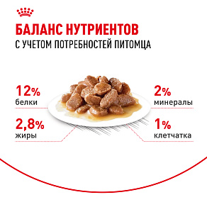 Royal Canin INSTINCTIVE Корм консервированный для взрослых кошек, соус