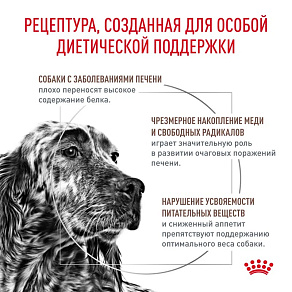 Royal Canin HEPATIC (ГЕПАТИК) Корм сухой для взрослых собак для поддержания функции печени