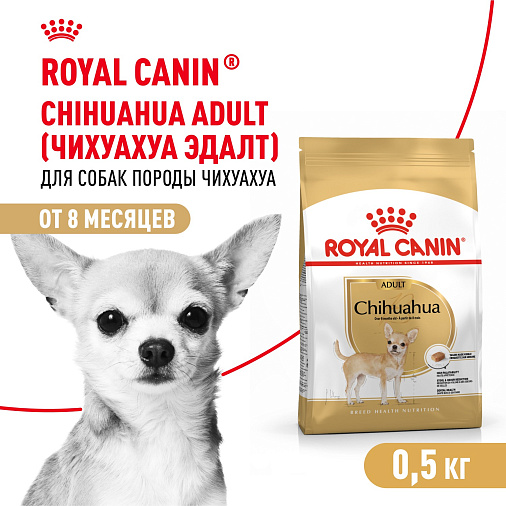 Royal Canin Chihuahua Adult Корм сухой для взрослых собак породы Чихуахуа от 8 месяцев