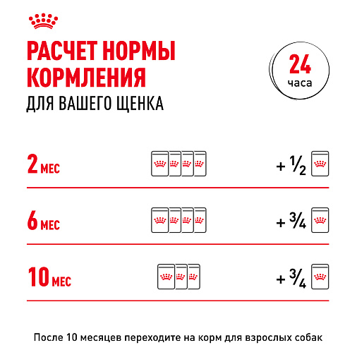 Royal Canin Корм для щенков мелких пород (Mini Puppy), кусочки в соусе