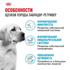 Royal Canin Labrador Retriever Puppy Корм сухой для щенков породы Лабрадор Ретривер до 15 месяцев