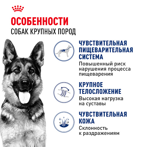 Royal Canin Maxi Adult Корм сухой для взрослых собак крупных размеров от 15 месяцев до 5 лет