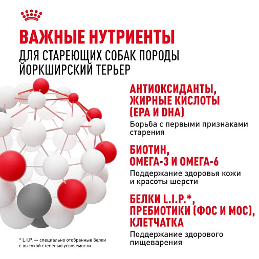 Royal Canin Yorkshire Terrier Adult 8+ Корм сухой для стареющих собак породы Йоркширский Терьер от 8 лет