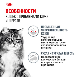 Royal Canin Hair&Skin Care Корм консервированный полнорационный для взрослых кошек для поддержания здоровья кожи и красоты шерсти, тонкие ломтики в соусе