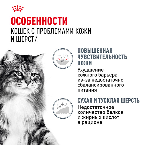 Royal Canin Hair&Skin Care Корм консервированный полнорационный для взрослых кошек для поддержания здоровья кожи и красоты шерсти, тонкие ломтики в желе