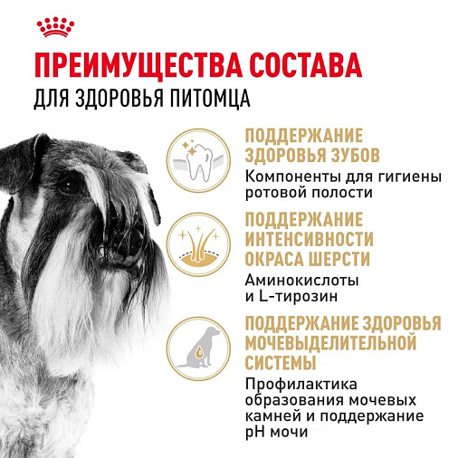 Royal Canin Miniature Schnauzer Adult Корм сухой для взрослых собак породы Миниатюрный Шнауцер от 10 месяцев