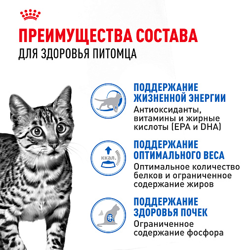 Royal Canin INDOOR STERILISED 7+ Корм консервированный полнорационный для кошек (в возрасте от 7 до 12 лет), живущих в помещении (мелкие кусочки в желе)