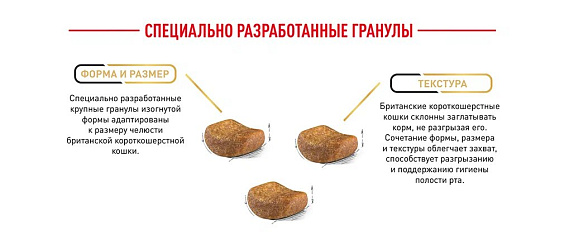 Royal Canin British Shorthair Adult Корм сухой сбалансированный для взрослых британских короткошерстных кошек