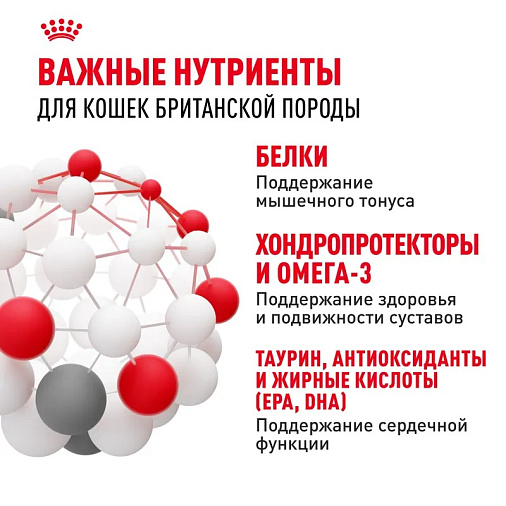 Royal Canin British Shorthair Adult Корм сухой сбалансированный для взрослых британских короткошерстных кошек