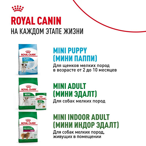 Royal Canin Mini Starter Корм сухой для щенков мелких размеров до 2-х месяцев, беременных и кормящих сук