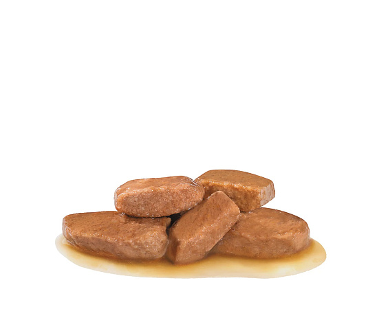 Royal Canin Early Renal Влажный корм для взрослых собак при ранней стадии почечной недостаточности