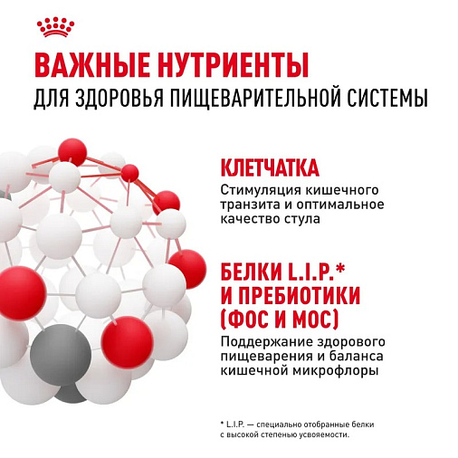 Royal Canin Maxi Digestive Care Корм сухой для взрослых собак больших размеров с чувствительным пищеварением