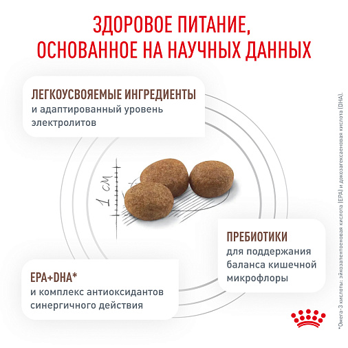 Royal Canin GASTROINTESTINAL LOW FAT SMALL DOGS (ГАСТРОИНТЕСТИНАЛ ЛОУ ФЭТ СМОЛ ДОГЗ) Корм сухой для взрослых собак мелких пород при нарушениях пищеварения
