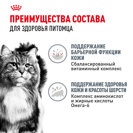 Royal Canin Hair&Skin Care Корм консервированный полнорационный для взрослых кошек для поддержания здоровья кожи и красоты шерсти, тонкие ломтики в соусе