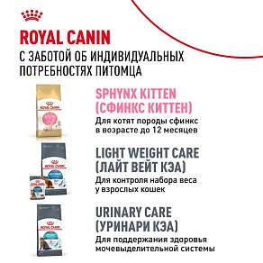 Royal Canin Sphynx Adult Корм сухой сбалансированный для взрослых кошек породы Сфинкс от 12 месяцев