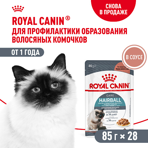 Royal Canin Корм для профилактики образования волосяных комочков у взрослых кошек (Hairball Care), мелкие кусочки в соусе