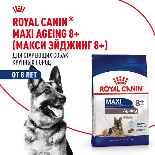 Royal Canin Maxi Ageing 8+ Корм сухой для стареющих собак крупных размеров от 8 лет и старше