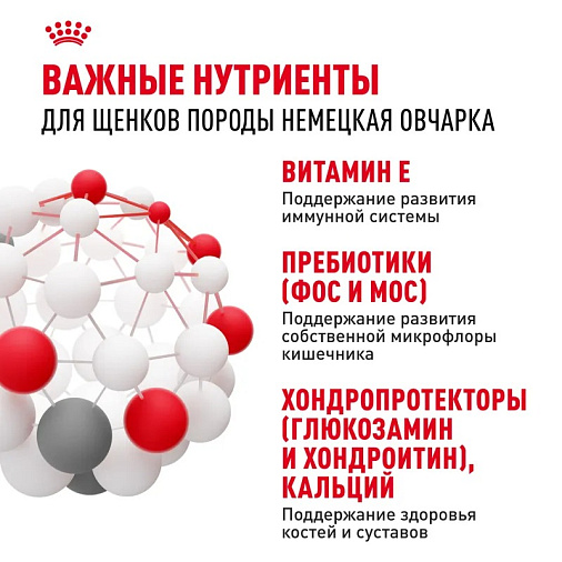 Royal Canin German Shepherd Puppy Корм сухой для щенков породы Немецкая овчарка до 15 месяцев