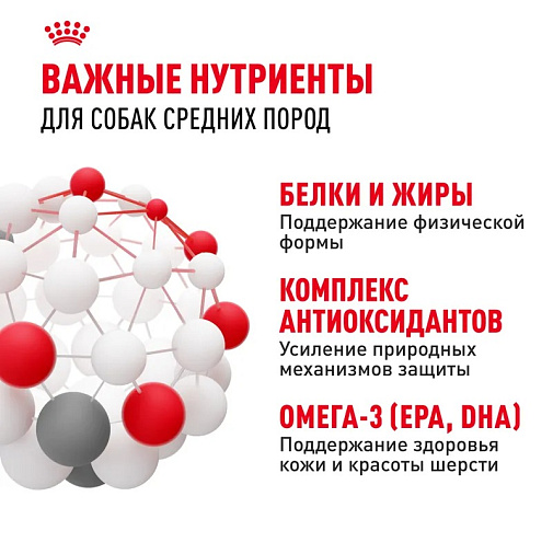 Royal Canin Medium Adult Корм сухой для взрослых собак средних размеров от 12 месяцев до 7 лет