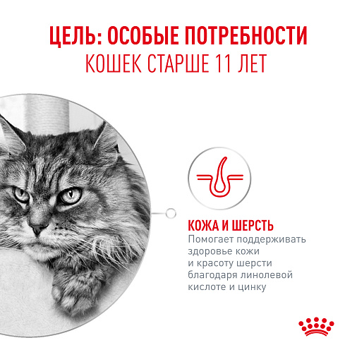Royal Canin Ageing 11+ AirLift™ Корм консервированный полнорационный для кошек старше 11 лет (мусс AirLift™)