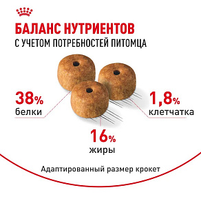 Royal Canin Siamese Adult Корм сухой сбалансированный для взрослых сиамских кошек от 12 месяцев