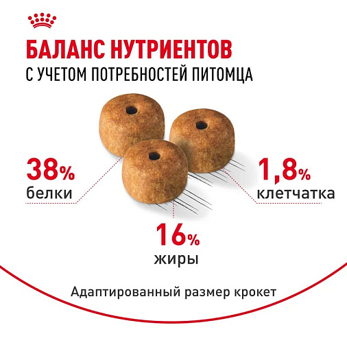 Royal Canin Siamese Adult Корм сухой сбалансированный для взрослых сиамских кошек от 12 месяцев
