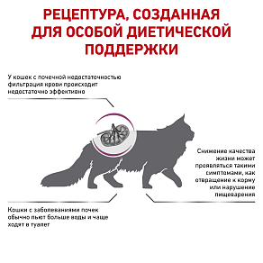 Royal Canin Renal Special Корм сухой полнорационный диетический для взрослых кошек с пониженным аппетитом для поддержания функции почек при острой или хронической почечной недостаточности. Ветеринарная диета