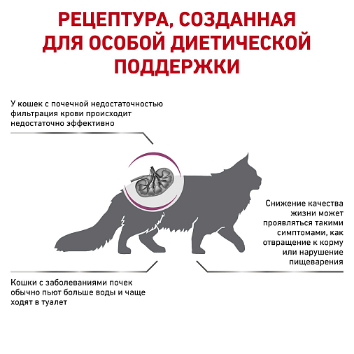 Royal Canin Renal Special Корм сухой полнорационный диетический для взрослых кошек с пониженным аппетитом для поддержания функции почек при острой или хронической почечной недостаточности. Ветеринарная диета