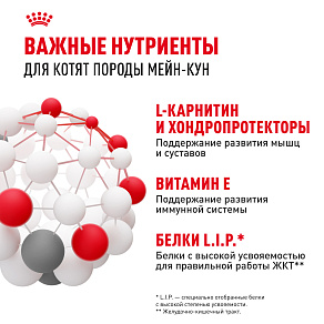 Royal Canin MAINE COON KITTEN Корм консервированный полнорационный для кошек - Специально для котят породы Мэйн Кун в возрасте до 15 месяцев (мелкие кусочки в соусе)