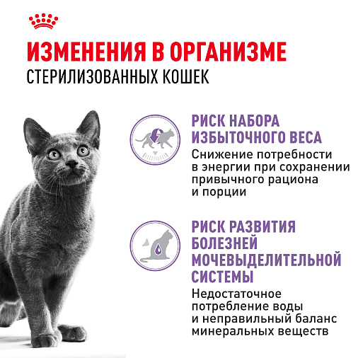 Royal Canin Sterilised Корм консервированный для стерилизованных взрослых кошек, соус