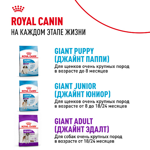 Royal Canin Giant Starter Корм сухой для щенков очень крупных размеров до 2 месяцев, беременных и кормящих сук