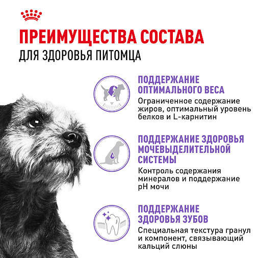 Royal Canin Mini Sterilised Корм сухой для взрослых стерилизованных собак мелких размеров, склонных к набору веса