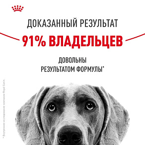 Royal Canin Medium Dermacomfort Корм сухой для взрослых собак средних размеров при раздражениях и зуде кожи