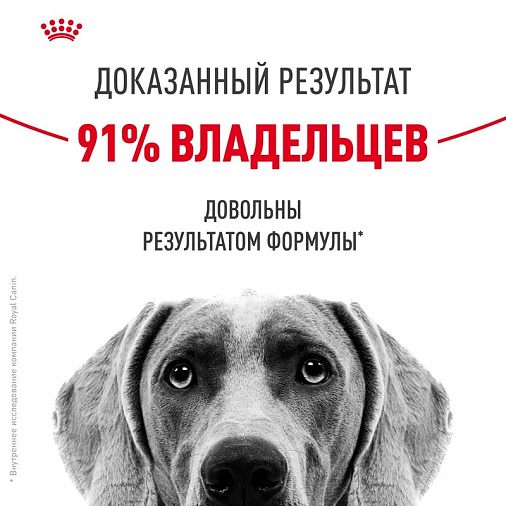 Royal Canin Maxi Dermacomfort Корм сухой для взрослых собак крупных размеров при раздражениях и зуде кожи