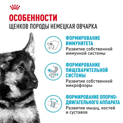 Royal Canin German Shepherd Puppy Корм сухой для щенков породы Немецкая овчарка до 15 месяцев