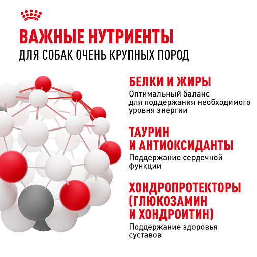 Royal Canin Giant Adult Корм сухой для взрослых собак очень крупных размеров от 18 месяцев
