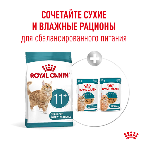 Royal Canin Ageing 11+ Корм сухой для пожилых кошек старше 11 лет