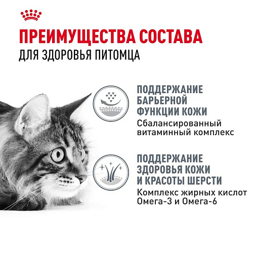 Royal Canin Hair&Skin Care Корм сухой для взрослых кошек для поддержания здоровья кожи и шерсти
