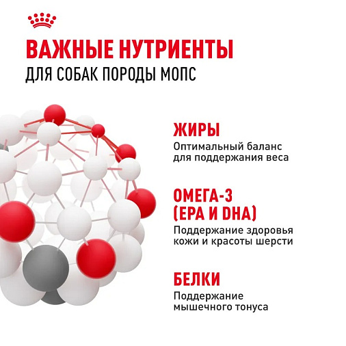 Royal Canin Pug Adult Корм сухой для взрослых собак породы Мопс от 10 месяцев